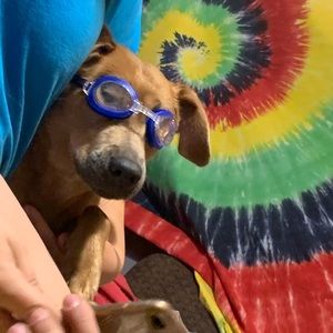 Meet your Posher, Jamie